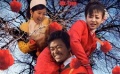 “树先生”首发剧情MV 王宝强黑色幽默挑逗观众