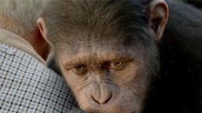 《猩球崛起》中文片段 “凯撒”初到动物收留所