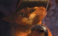 10月30日：北美票房现灵异 “靴子猫”首映引围观