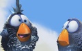 皮克斯經(jīng)典短片《鳥！鳥！鳥！》