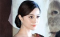 《我的征途》首尔首映 范冰冰薄纱透视裙甜美可人