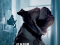 大偵探福爾摩斯2：詭影游戲