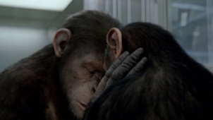 《猩球崛起》续集启动 “猩猩”将竞逐奥斯卡影帝