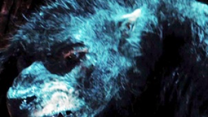 《黑夜传说4》中文片段 赛琳娜母性爆发恶战狼人