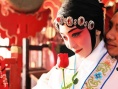女人如花