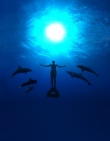 《海豚湾》海报