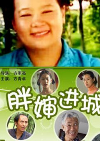 胖嬸進(jìn)城