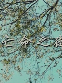 亡命之徒