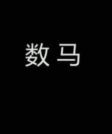 数马