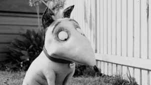 蒂姆·波顿短片《科学怪狗》 孤独少年起死回生梦