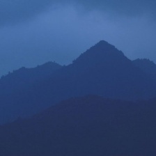 時(shí)間叢林