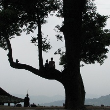 云上太陽