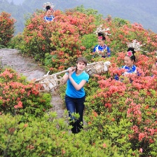 云上太陽