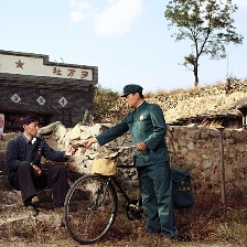 太陽開花