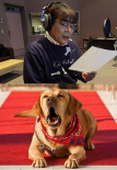 愛(ài)犬正雄向前沖！