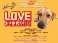 愛犬正雄向前沖！