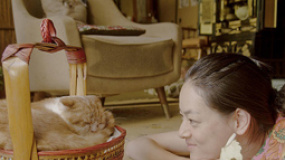 电影《租赁猫》温情上映 荻上直子让你告别孤单