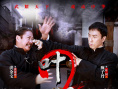 《叶问2：宗师传奇》海报