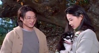 全智賢初遇“未知戀人”——《白色情人節(jié)》
