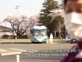 相馬看花：被剝奪的土地記憶