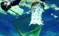 紀錄片《垃圾危機》中文預告 奧斯卡影帝焦心環(huán)保