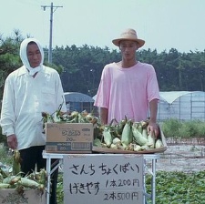 菊次郎的夏天