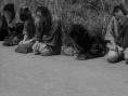 三匹之侍