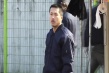 綠頭蒼蠅