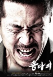 綠頭蒼蠅