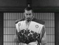 蜘蛛巢城