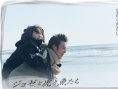 Jose与虎与鱼们
