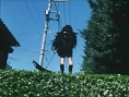 梦旅人