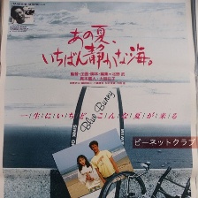 那年夏天，寧?kù)o的海