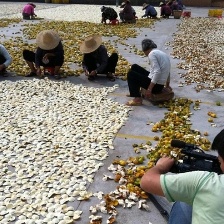 舌尖上的中國