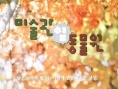 愛情倒后鏡
