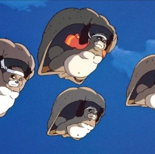 百變貍貓