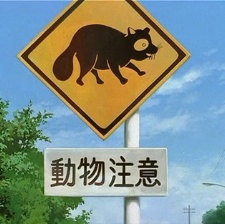百變貍貓