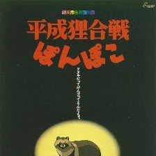 百變貍貓