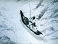 山水情