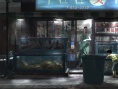 撲棱撲棱