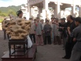 三审奇石