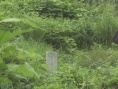 转世在安阳