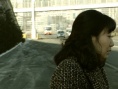 舞女城市