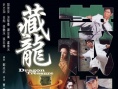 藏龙