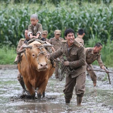 與敵同寢