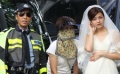 陈妍希身披婚纱街头昏倒 甄子丹变身交警英雄救美