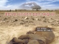 非洲的眼淚