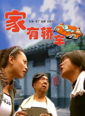 家有轎車
