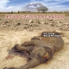 非洲的眼淚