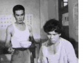 赤橙黄绿青蓝紫